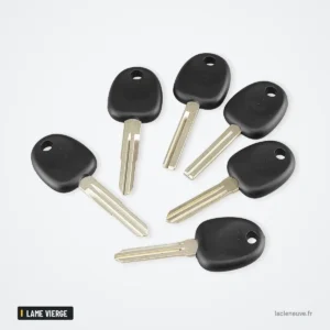 Coque de clé pour Hyundai Accent, Getz, H-1, Tiburon, lame vierge non taillée - plusieurs clés à lame groupées en éventail