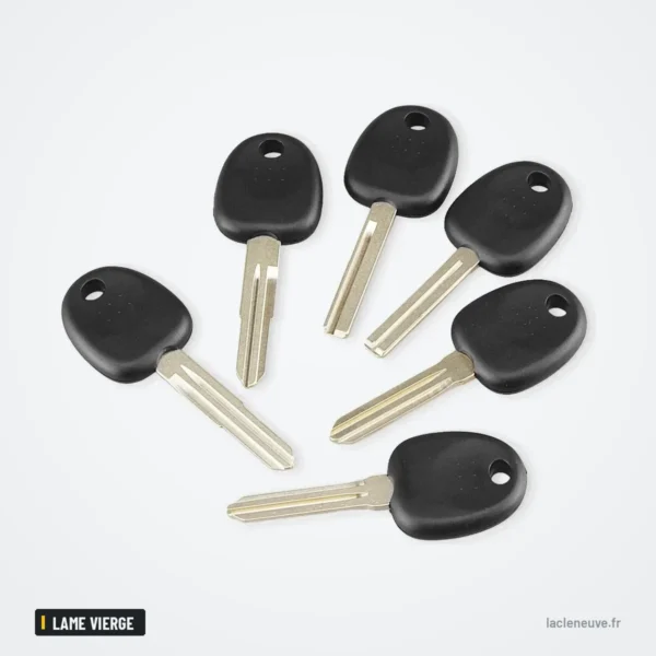 Coque de clé pour Hyundai Accent, Getz, H-1, Tiburon, lame vierge non taillée - plusieurs clés à lame groupées en éventail
