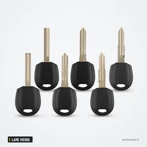 Coque de clé pour Kia Rio, Cerato, Sportage, Hyundai i30, lame vierge - plusieurs clés à lame alignées côte à côte Coque de clé pour Kia Rio, Cerato, Sportage, Hyundai i30, lame vierge - plusieurs clés à lame alignées côte à côte