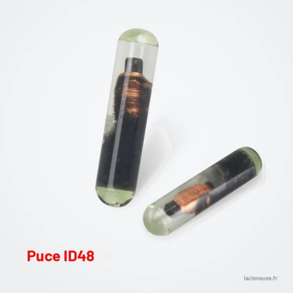 Puce transpondeur vierge pour Honda, Hyundai, Kia, Nissan, multi-protocoles - deux puces en tube de verre, côte à côte